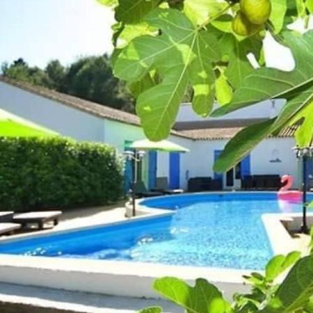 La Villa Du Menhir Gite Bize-Minervois Bagian luar foto
