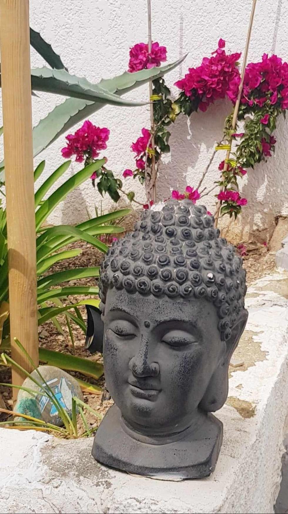 La Villa Du Menhir Gite Bize-Minervois Bagian luar foto