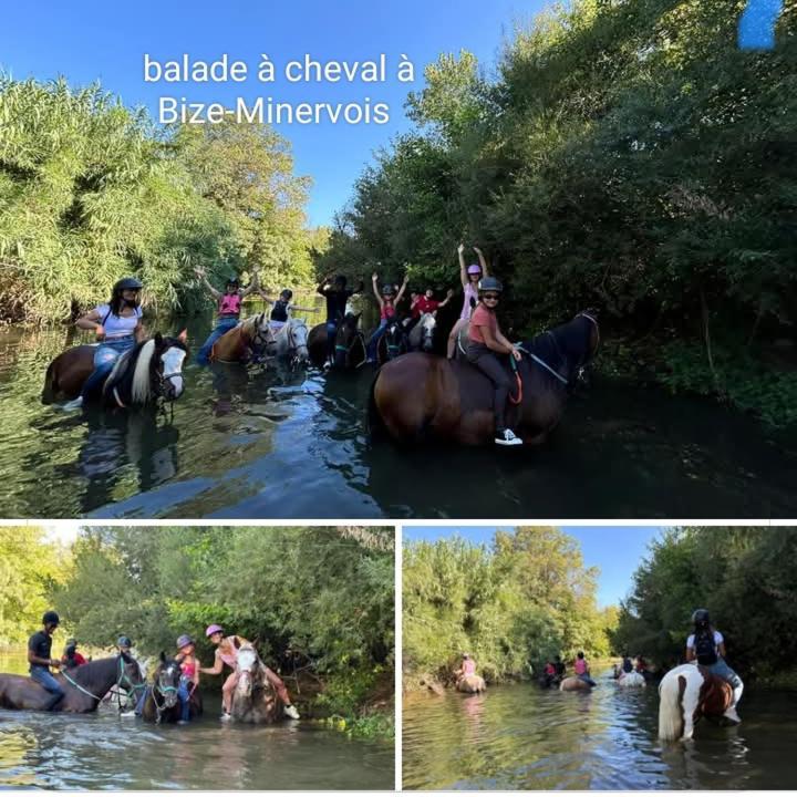 La Villa Du Menhir Gite Bize-Minervois Bagian luar foto