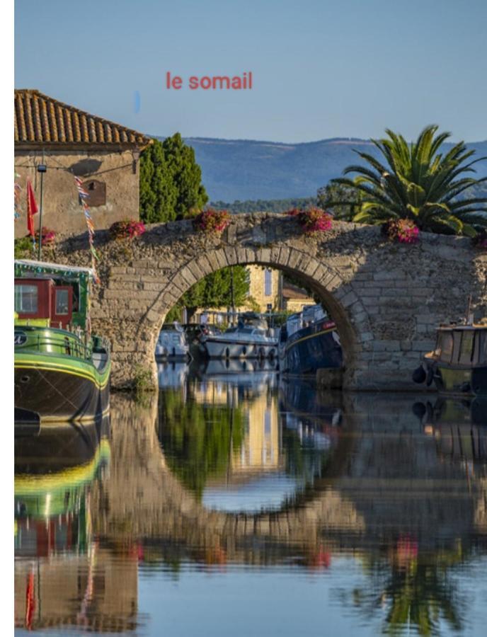 La Villa Du Menhir Gite Bize-Minervois Bagian luar foto